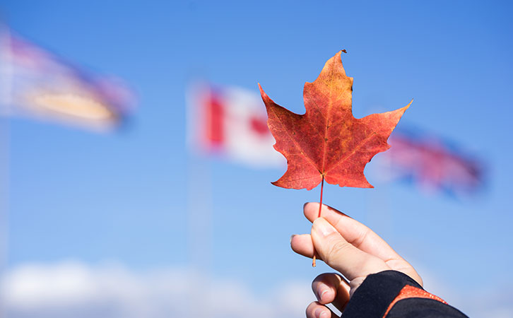 美H-1B簽證收緊“趕人”？隔壁楓葉國正降低門檻“搶人”！