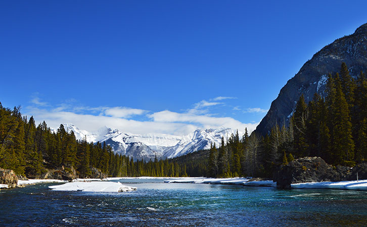 景鴻客戶魁省投資移民申請組團獲批！一步到位拿楓葉卡！