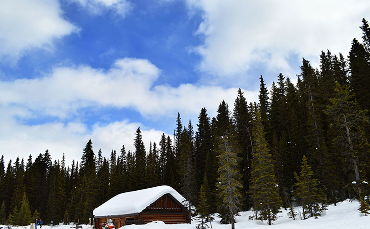 [移民故事] 移民是我給予這個家庭最好的禮物