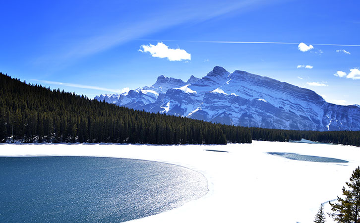 魏先生成功快速獲批加拿大聯(lián)邦技術(shù)移民