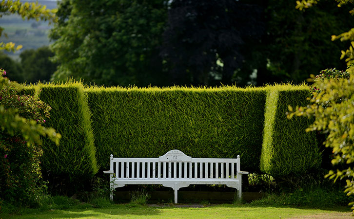步步精心！從申請獲批到入境，景鴻助力C先生一家實(shí)現(xiàn)愛爾蘭移民夢！