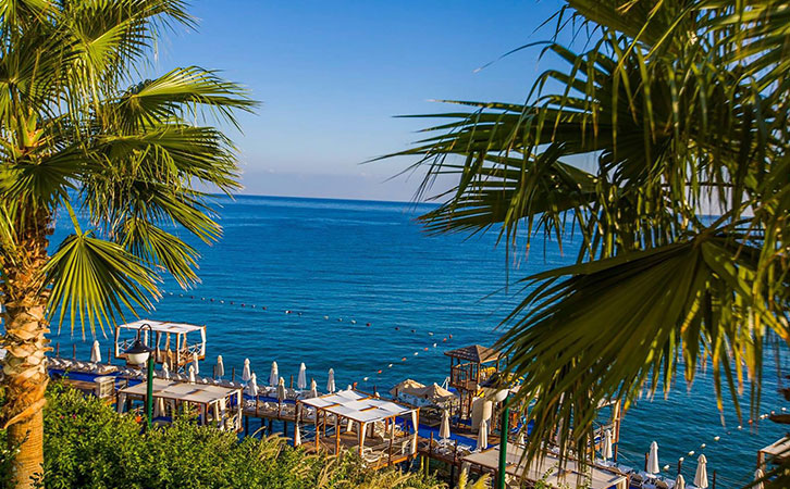 成功案例|職場虎媽為兒子謀劃教育未來！