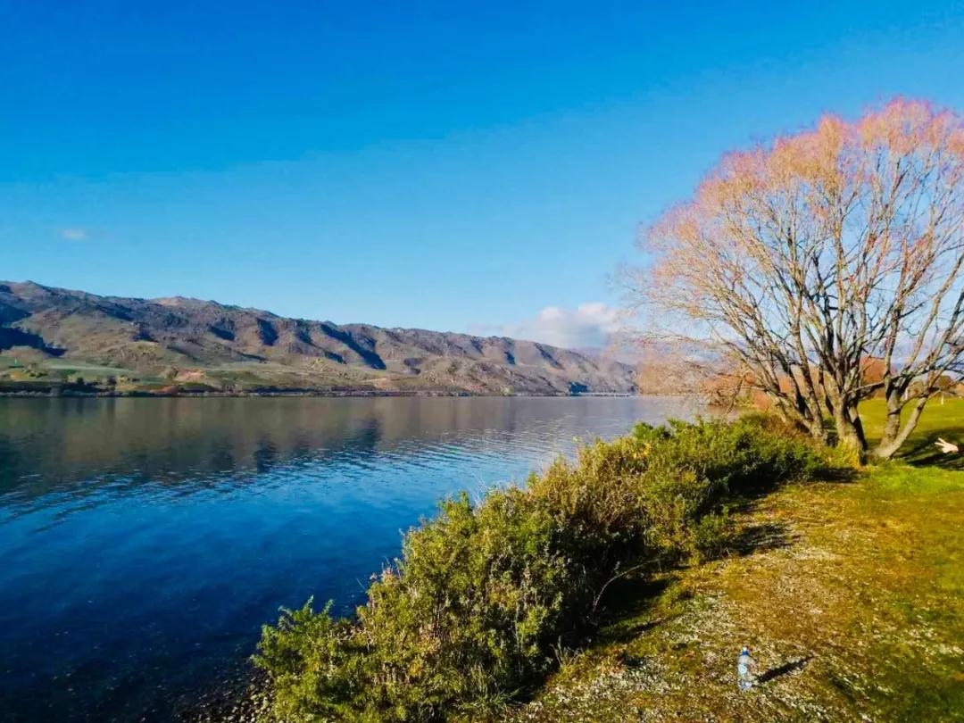 [實(shí)時(shí)焦點(diǎn)]移民大國(guó)政策關(guān)鍵詞告訴您：上車還是要趁早！