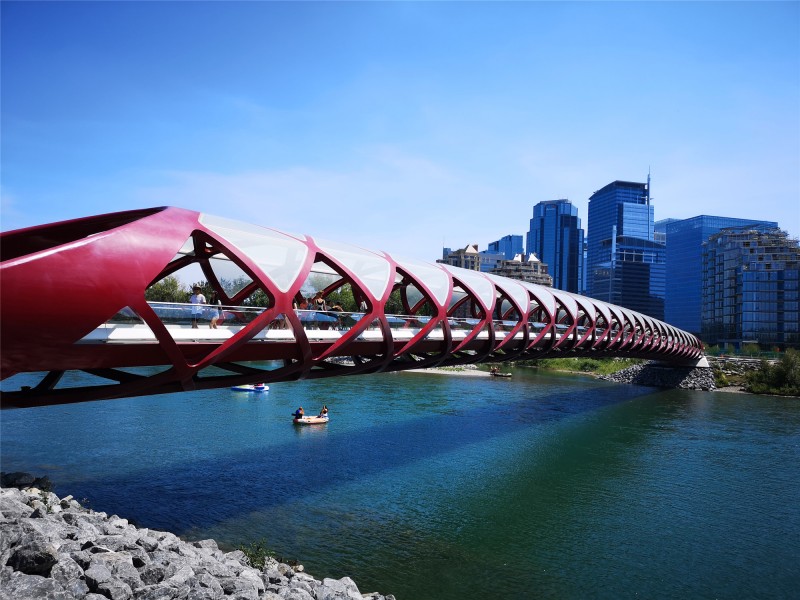 多國(guó)政策變化不斷 我該如何選擇？