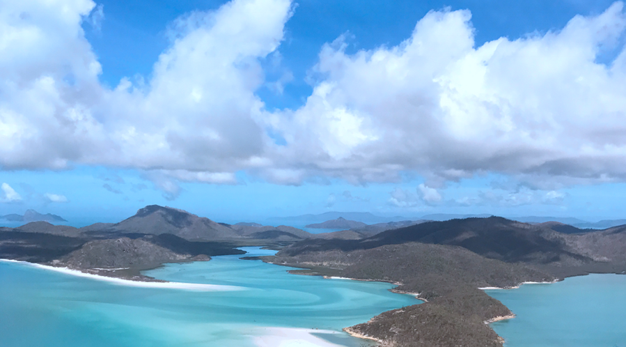 規(guī)劃身份，哪個更有價值？