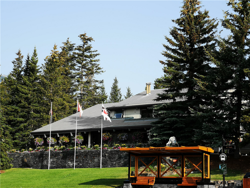 [熱門推薦]加拿大報稅這些事情一定要知道，別給自己挖坑跳！