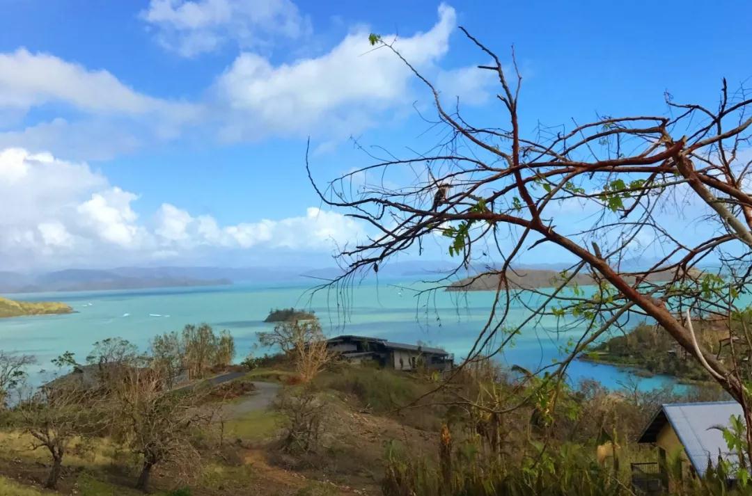 規(guī)劃身份，哪個更有價值？