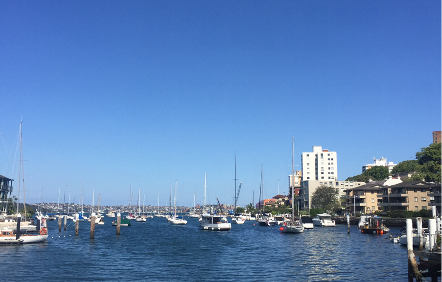 放眼兩大洲，開啟移居新篇章