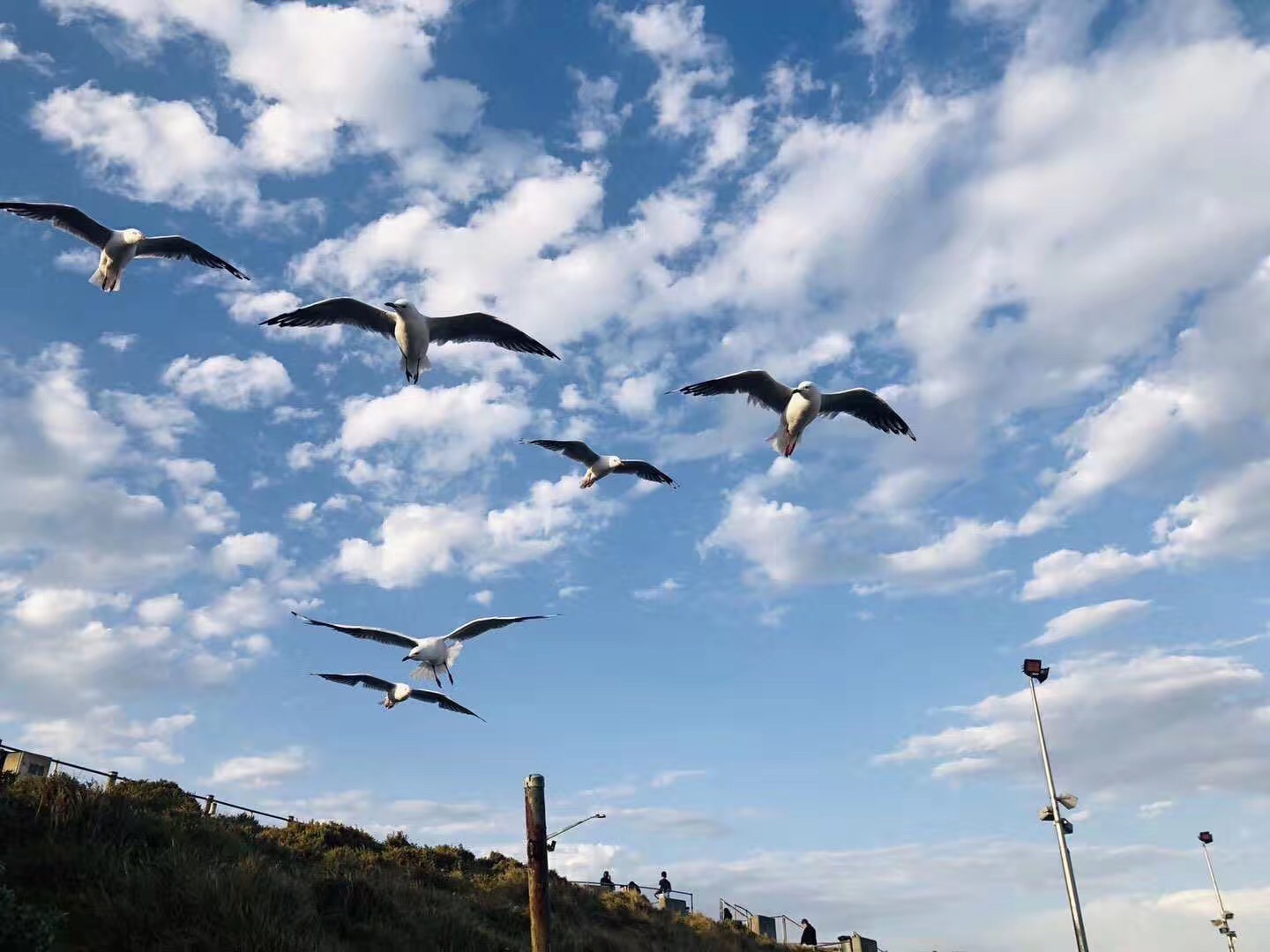掌握移民新趨勢，規(guī)劃「您」想新生活