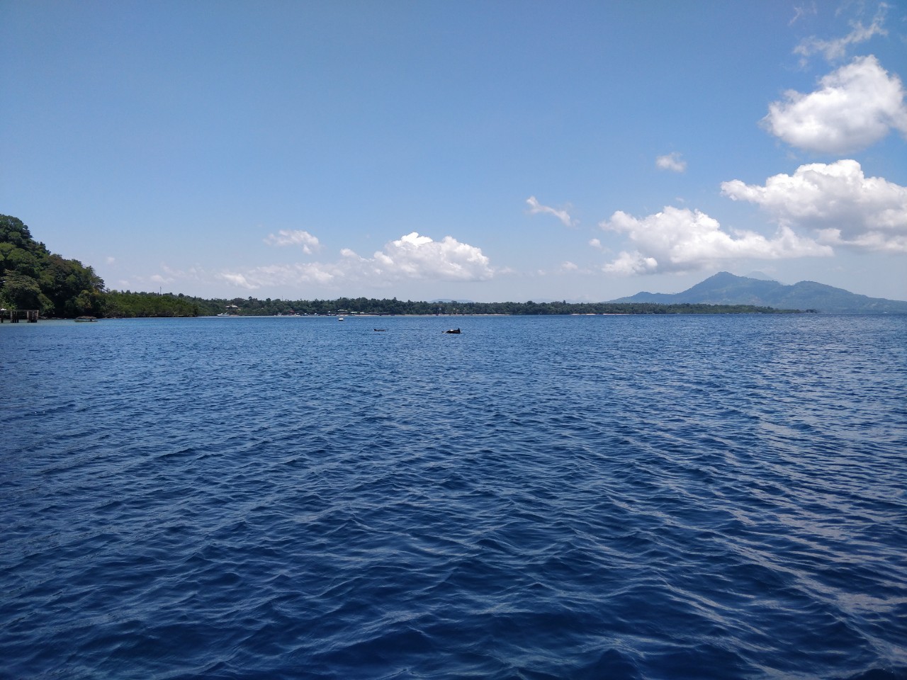 移民大不同，如何六選一？