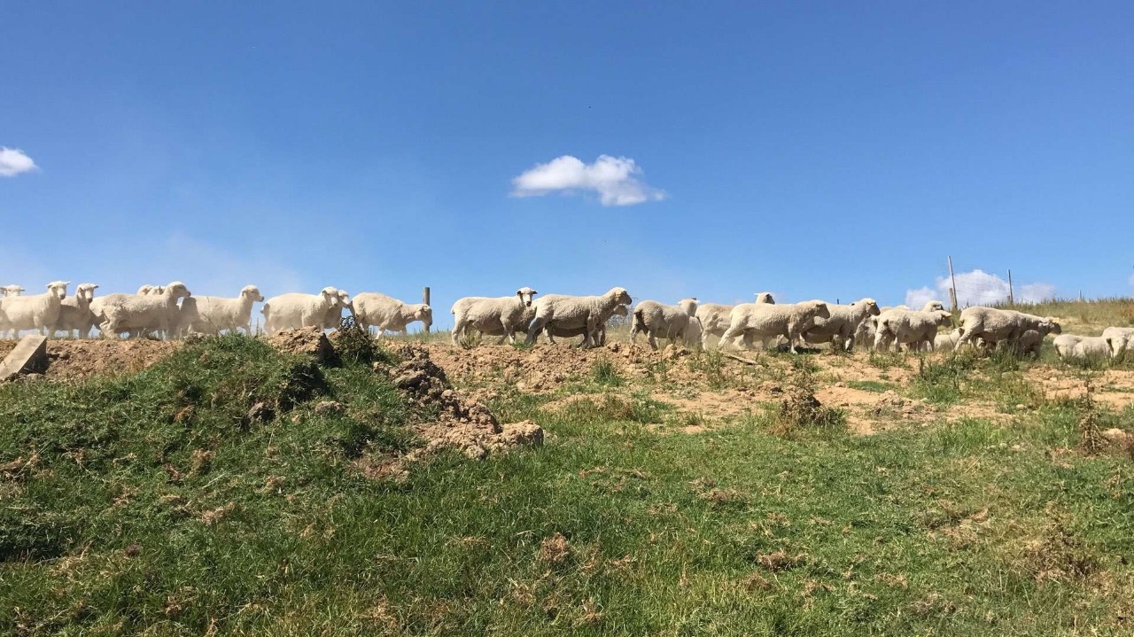 [實(shí)時(shí)焦點(diǎn)]最新！6月全球簽證信息匯總