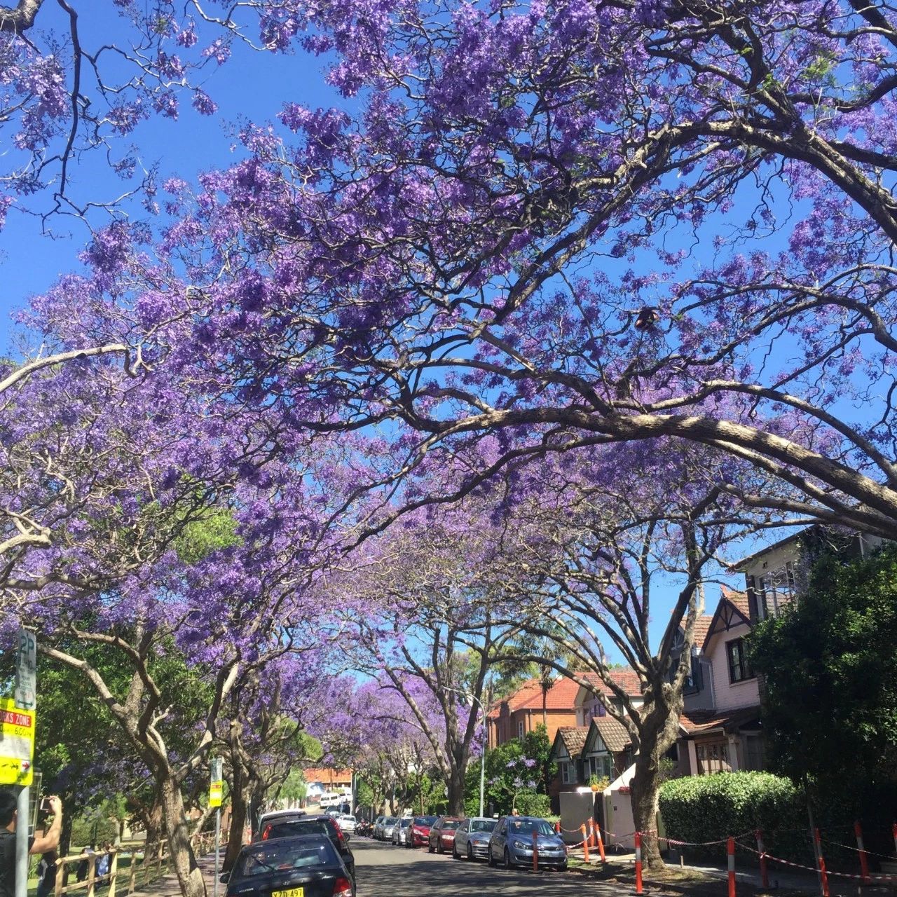 [實時焦點]“過邊檢不是走紅毯”，各國通關(guān)時，有什么需要注意