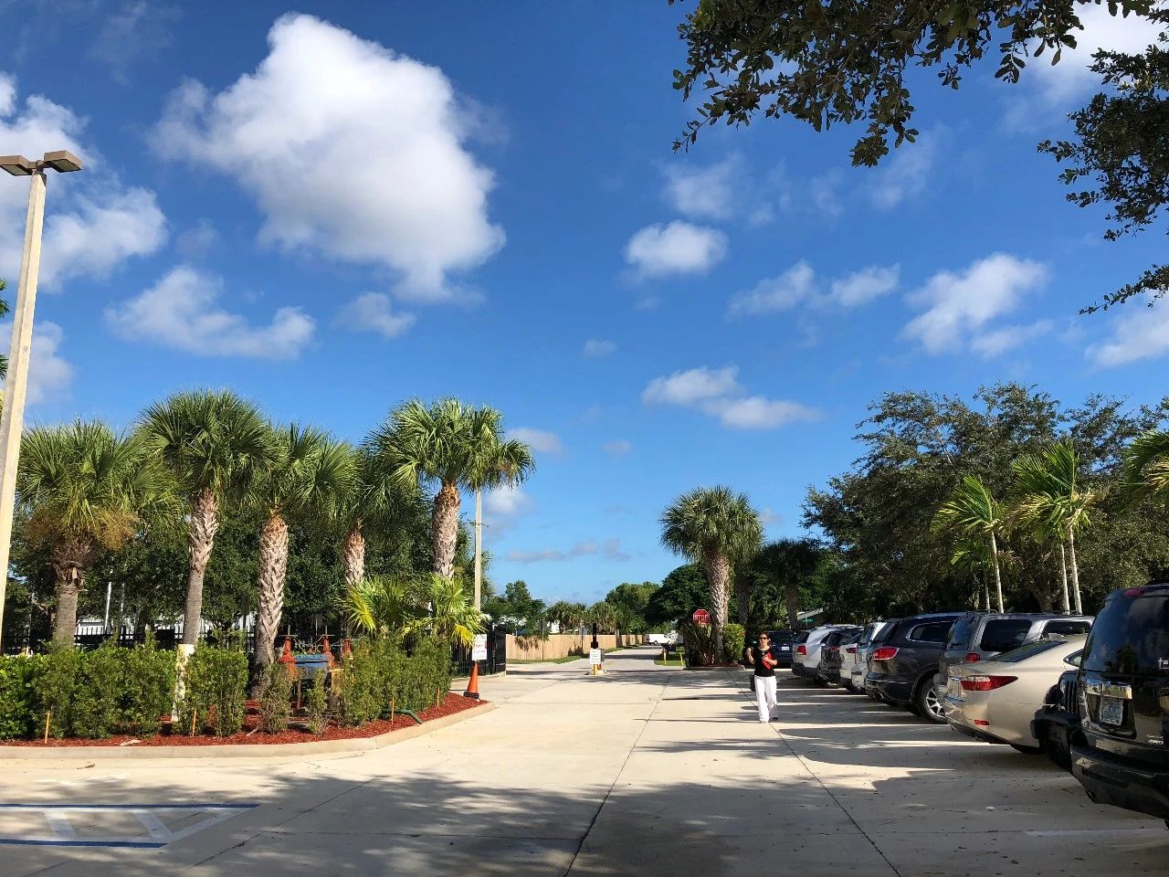 [實時焦點]“過邊檢不是走紅毯”，各國通關(guān)時，有什么需要注意