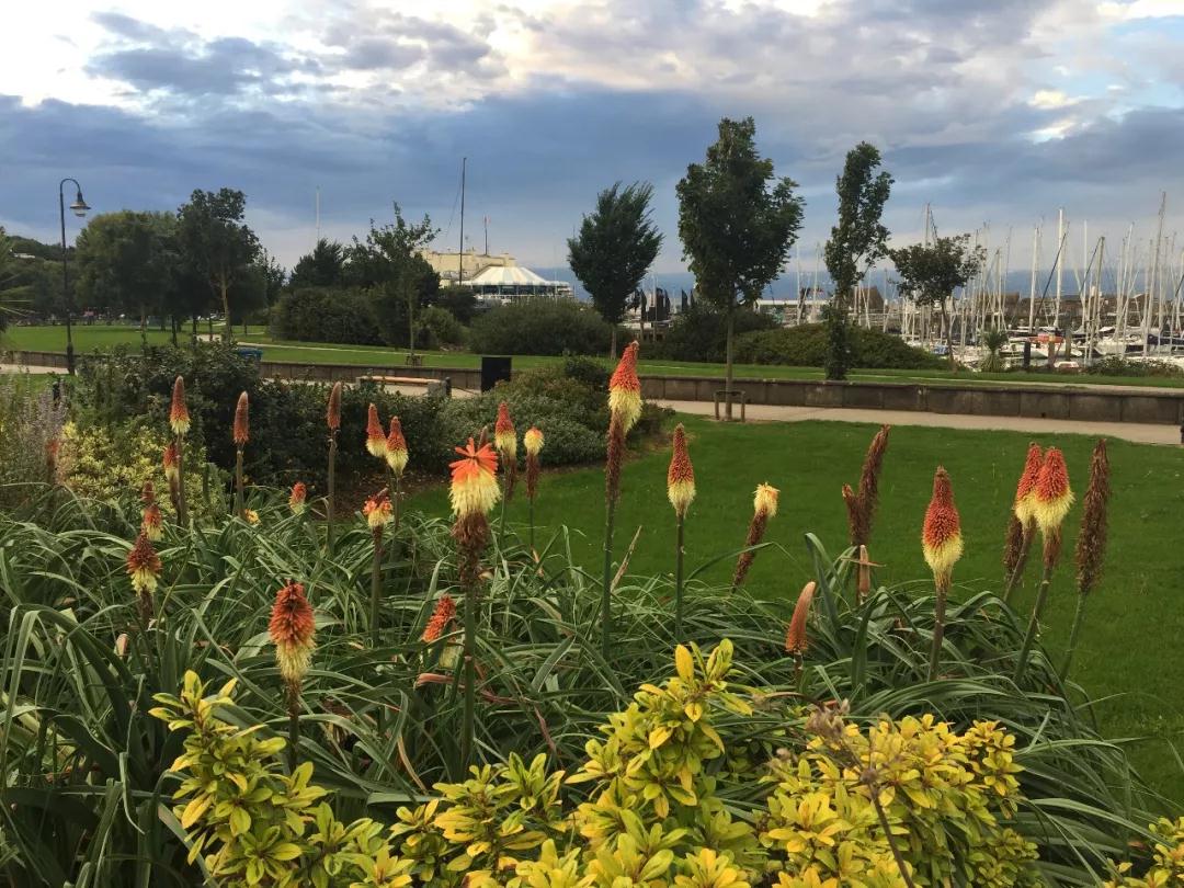 讓子女告別教育獨(dú)木橋，從選擇一國(guó)身份開(kāi)始！