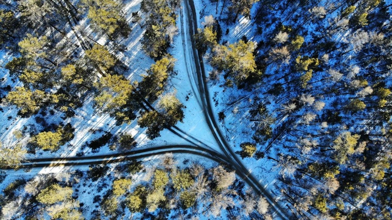 快速移居歐洲，我可以幫到您！