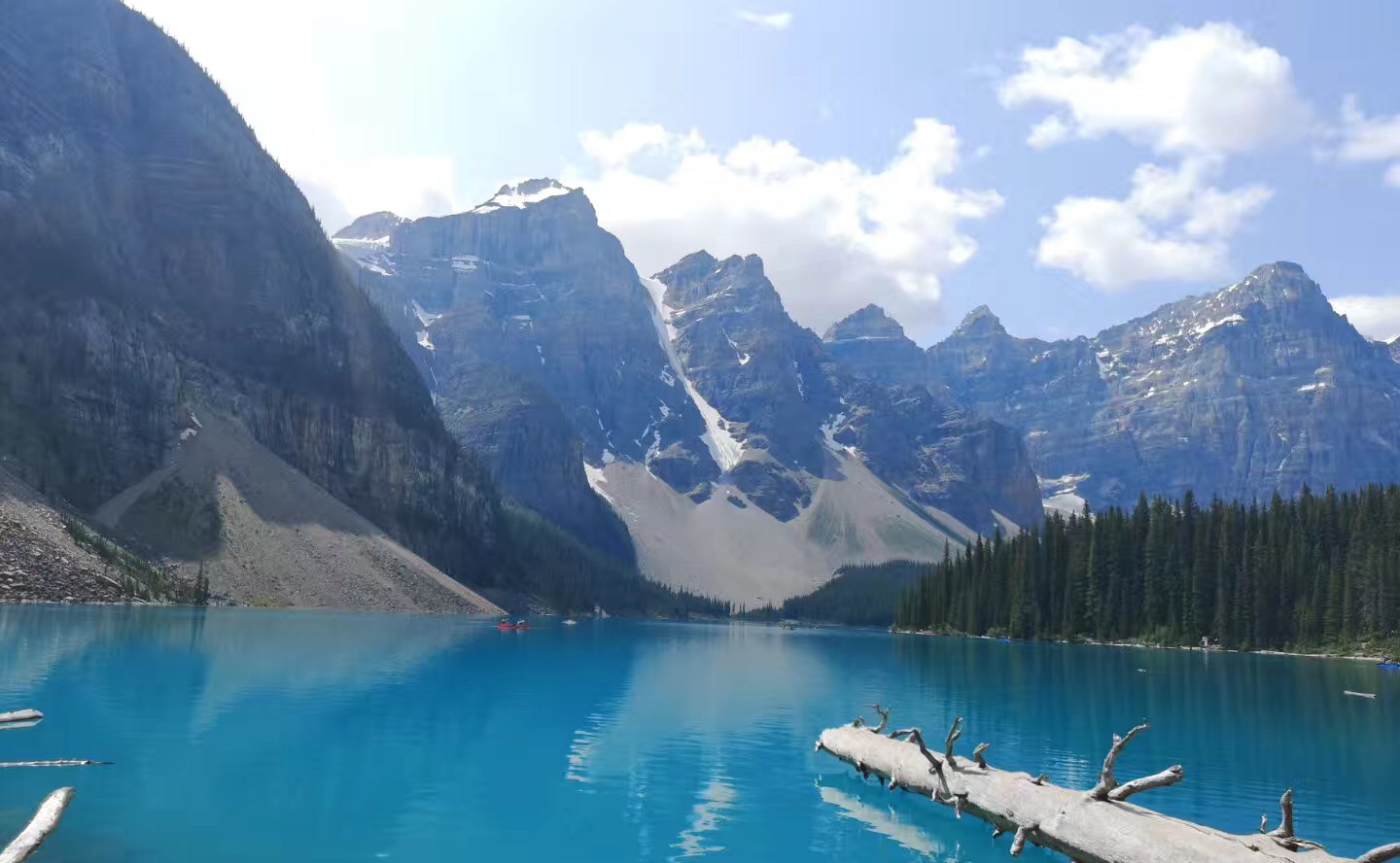 移民！怎樣選擇？