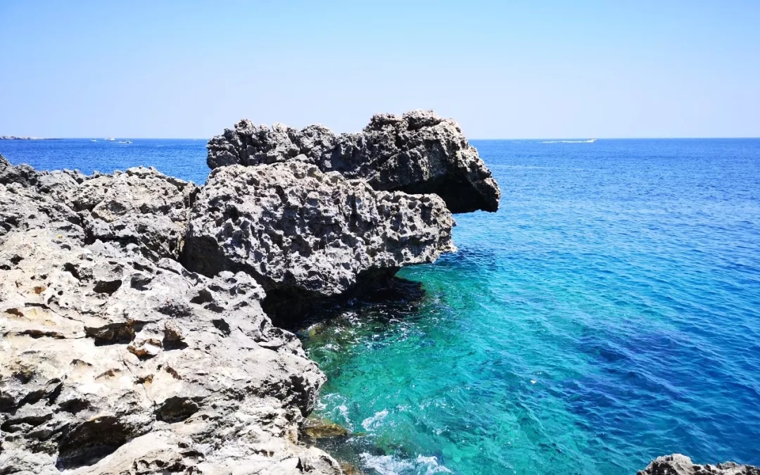 這個(gè)小國(guó)家，憑啥比英美澳加等大國(guó)還要貴，卻依然那么多人選擇它？