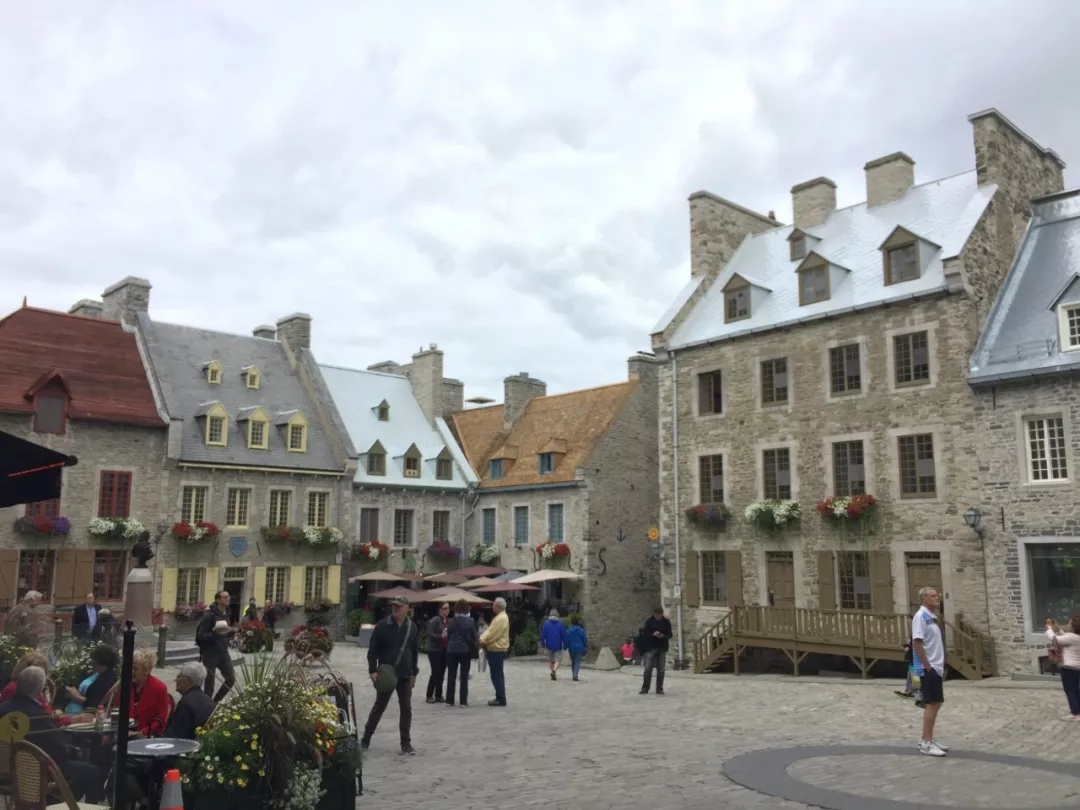 拿楓葉卡和入籍身份有何不同？該怎么選？