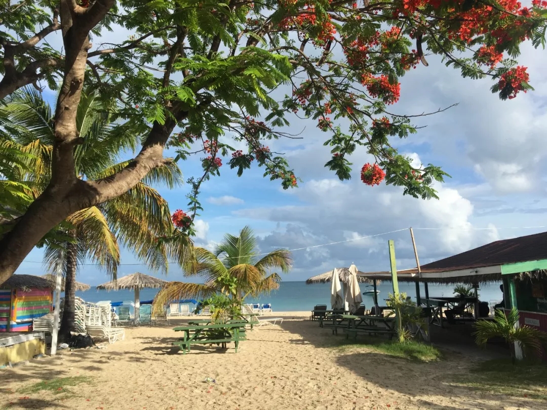 十一假期在國(guó)外逛吃逛吃時(shí)，這些問(wèn)題你要注意！