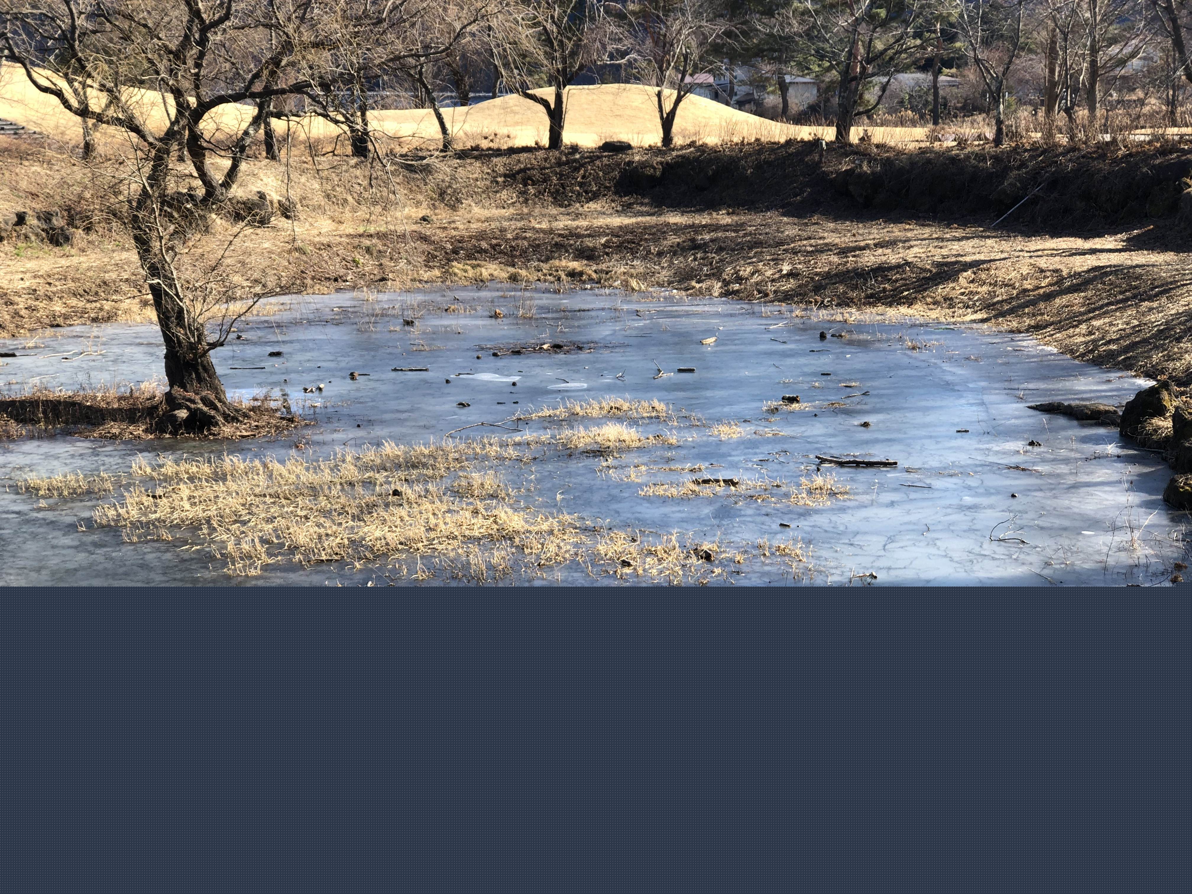 出入境各國(guó)，這樣做不僅要花冤枉錢(qián)還白費(fèi)勁！