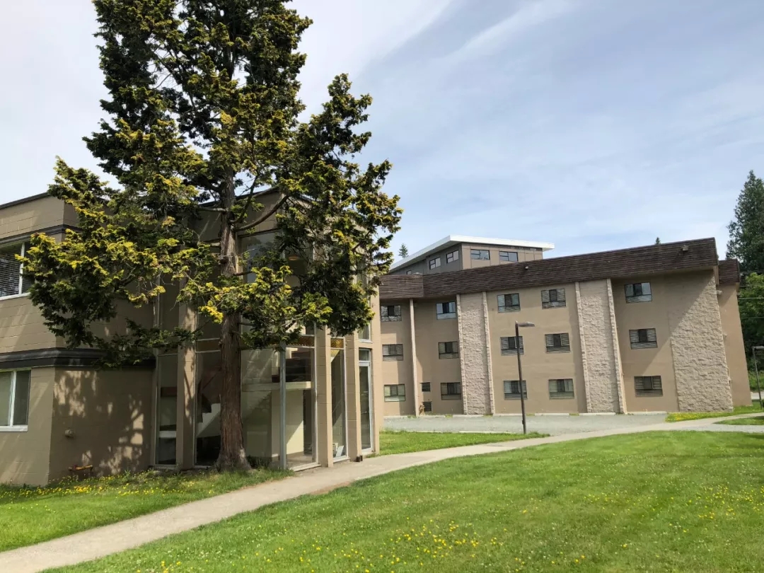 加拿大生活|不想被“無厘頭”攔下，這些海關禁忌要留心