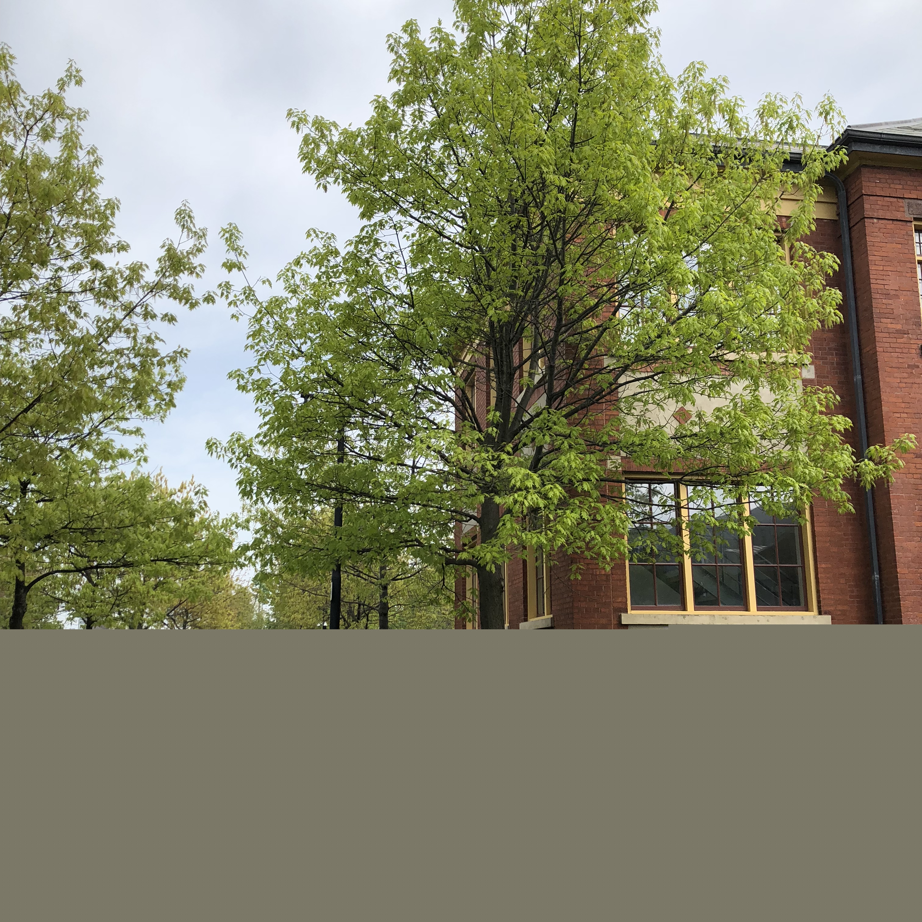 華人想回國(guó)了怎么辦？關(guān)于養(yǎng)老、工作、買(mǎi)房的解答都在這兒啦！