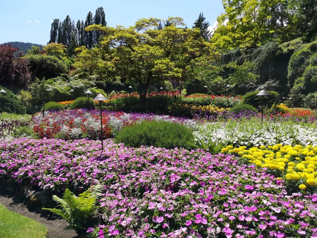 加拿大自雇移民|華人請(qǐng)注意！在加拿大BC省生活的你，下個(gè)月起每年最高可省