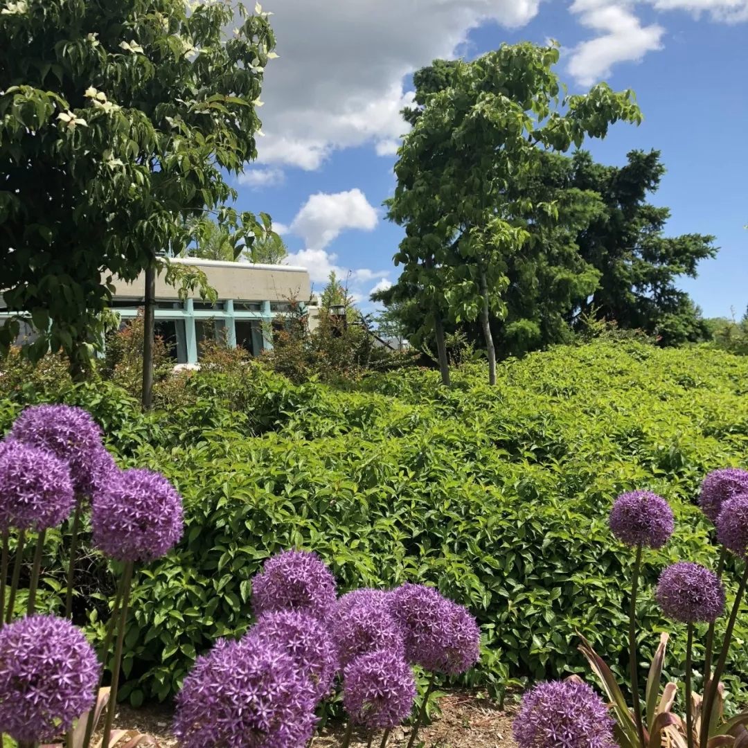 加拿大自雇移民|華人請(qǐng)注意！在加拿大BC省生活的你，下個(gè)月起每年最高可省