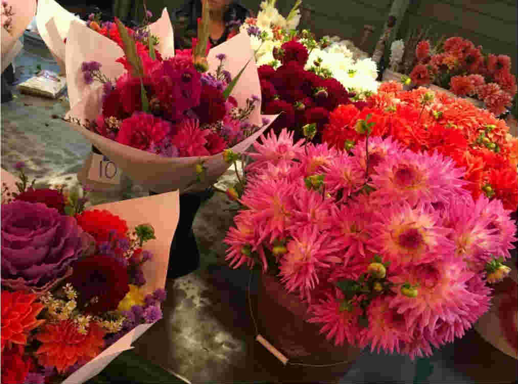 美國(guó)移民|美國(guó)生活最實(shí)用的50條技能，讓你不再迷茫