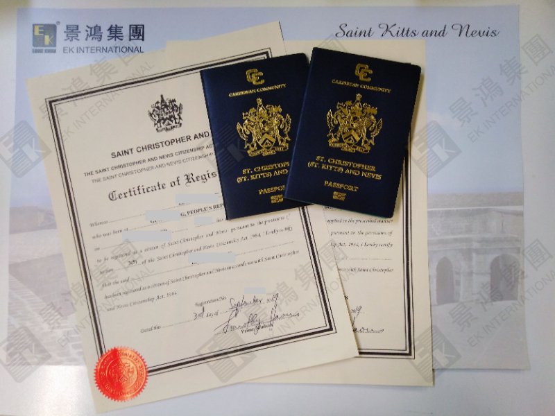 成功案例|職場虎媽為兒子謀劃教育未來！