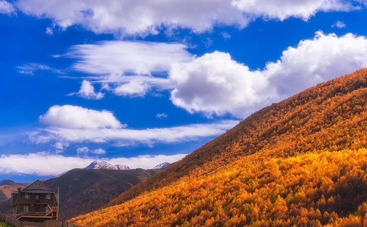 人到中年，為什么還要選擇移民加拿大？