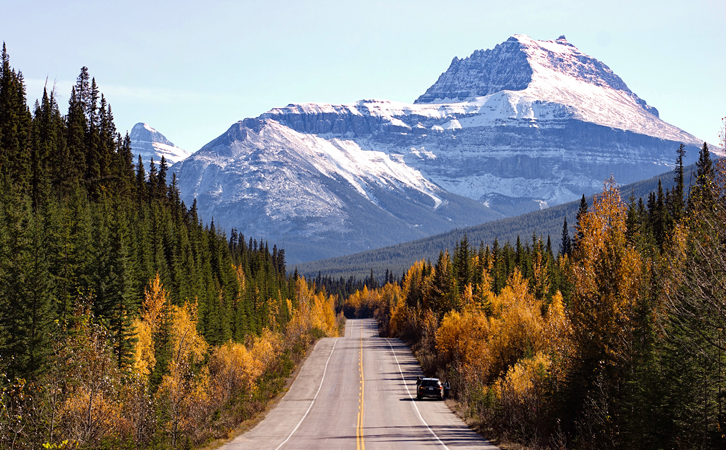 時裝設(shè)計師僅2年時間成功移民加拿大？怎么做到的？