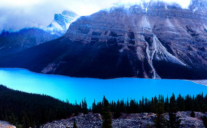 安省海外人士技術(shù)移民|近半加拿大移民首選安省，一個(gè)月喜提省提名