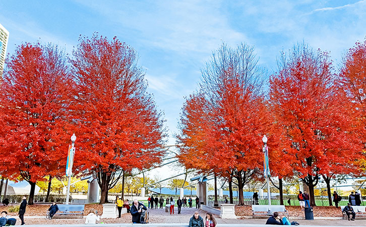 英國丨10月新規(guī)來了！有關(guān)華人華僑和留學(xué)生的出行和生活！