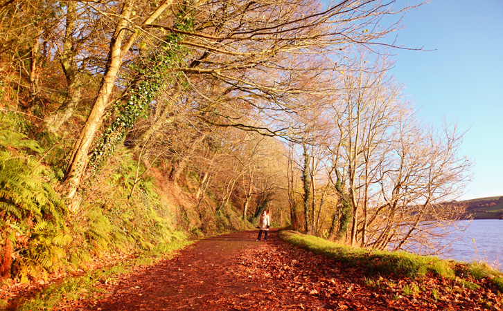 想要享受英國(guó)福利，何須花費(fèi)200萬(wàn)英鎊投資移民英國(guó)？