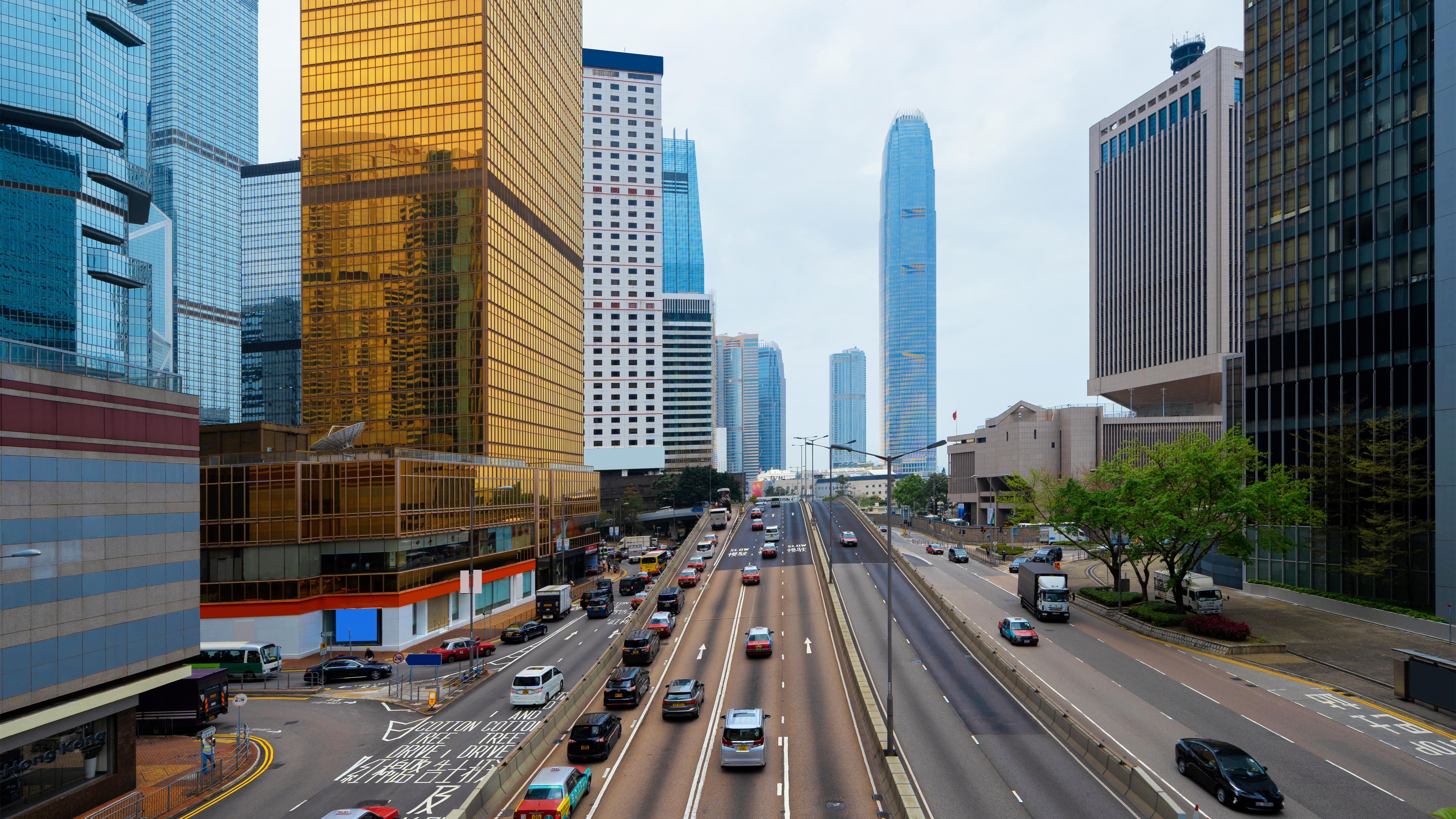 香港丨本來就備受歡迎的它們，近日熱度猛增背后的原因是什么？
