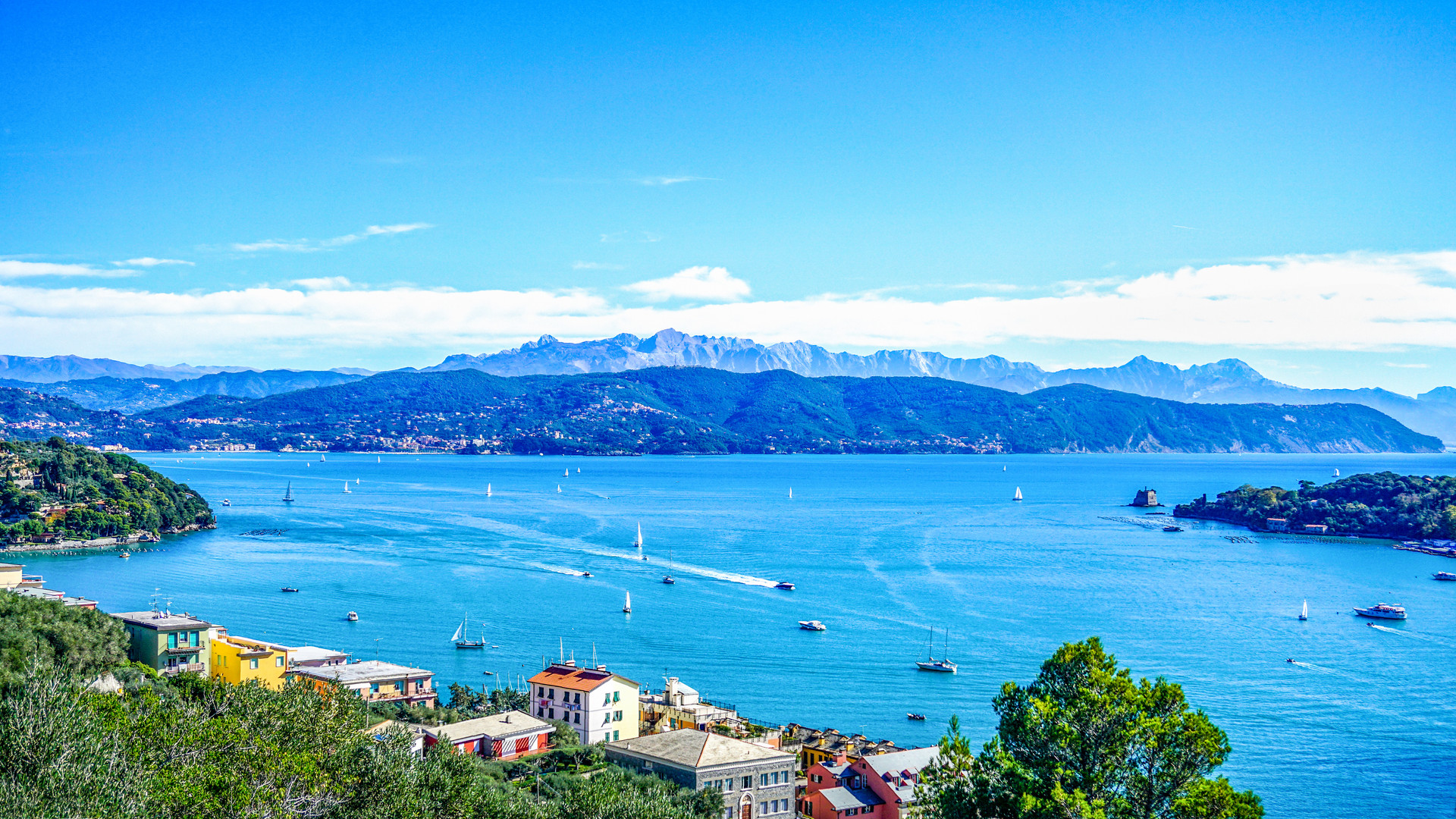 一周資訊丨新加坡放寬入境限制；中文是加拿大最常見的非官方語