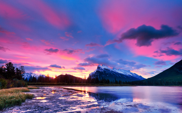 無年齡上限、無管理經(jīng)驗(yàn)要求的加拿大自雇移民，可以DIY嗎？