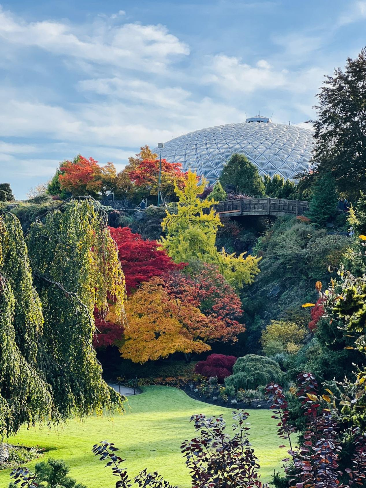 為何要移民加拿大？一位陪讀媽媽親述在加拿大生活的真實感受......