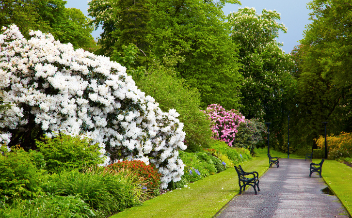 愛爾蘭移民|一向被認(rèn)為超適合養(yǎng)老的加拿大僅排名15？而愛爾蘭卻挺進(jìn)前5名！