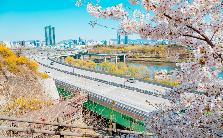 韓國(guó)移民|原來￥300萬以下也有眾多身份配置項(xiàng)目可選！而且又快、又簡(jiǎn)單