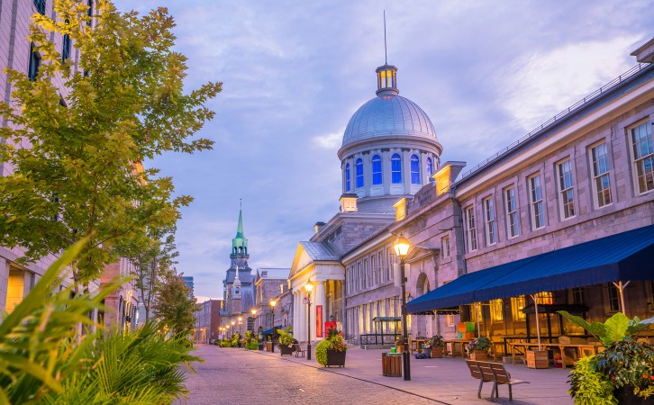 再破記錄！加拿大為吸引新移民有多“拼”？今年已批出超41萬份申請