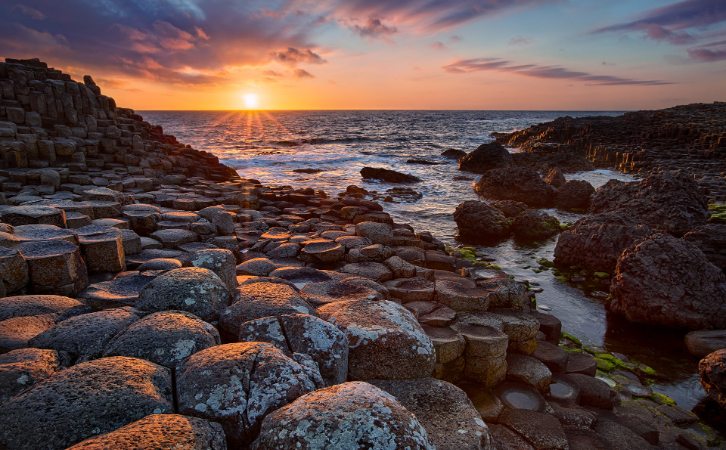 中國(guó)申請(qǐng)人占比超9成的愛爾蘭投資移民說(shuō)停就停了，還有哪些好選擇？