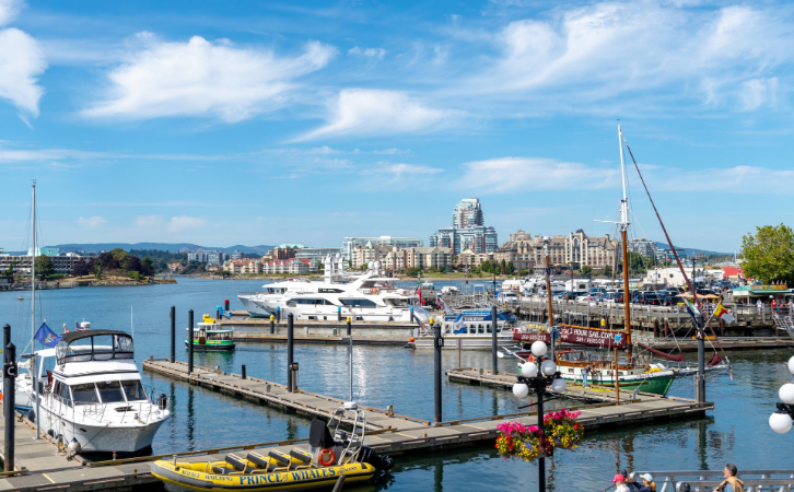 加拿大移民1月份“成績單”出爐，已派超過5萬張楓葉卡？