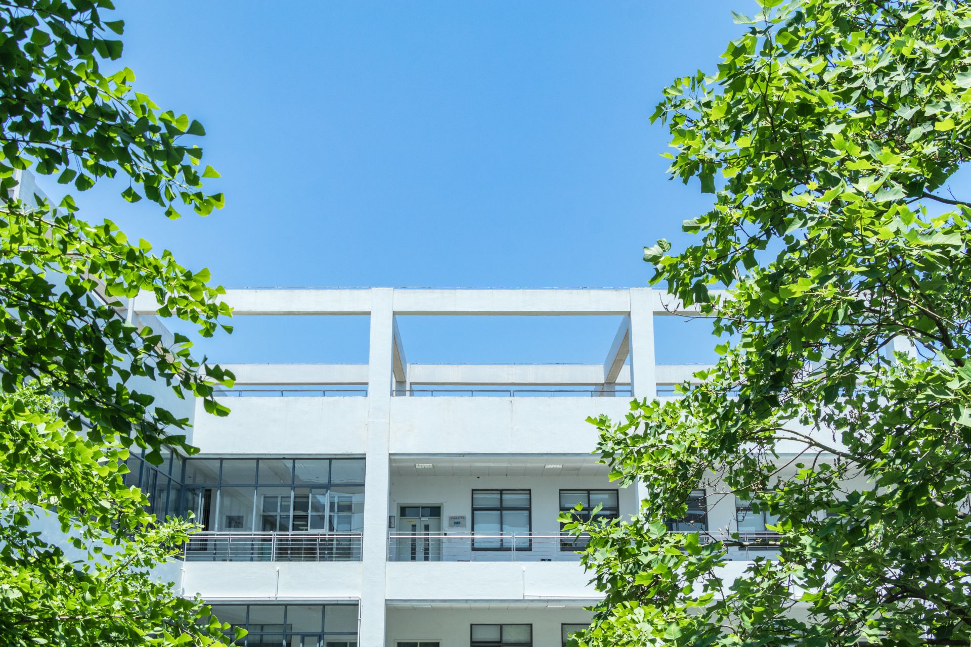 港校學(xué)科實(shí)力大起底！難怪那么多家長都想為孩子辦香港身份