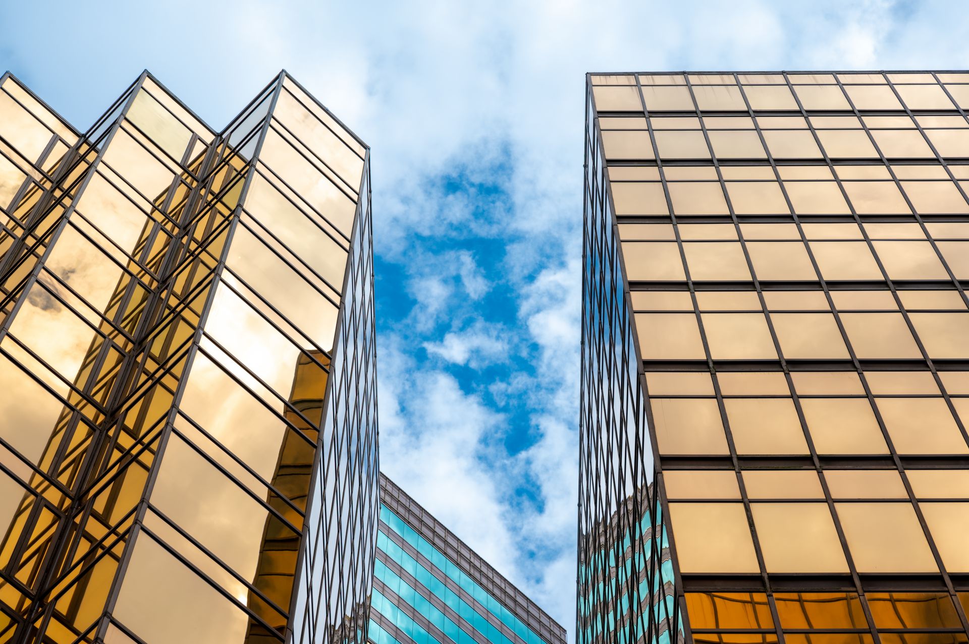 逾5.5萬人“搶”著辦理的香港身份有什么用？看完這些身份便利您就知道它有多