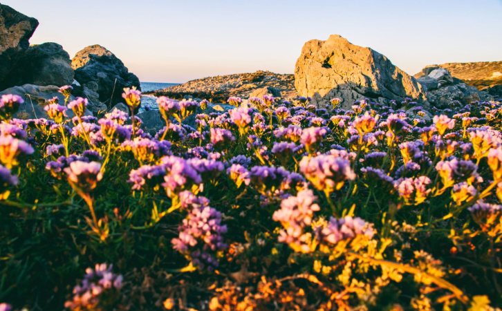 突然被全球申請(qǐng)人“盯”上的歐洲移民，真的適合您嗎？別隨便跟風(fēng)！