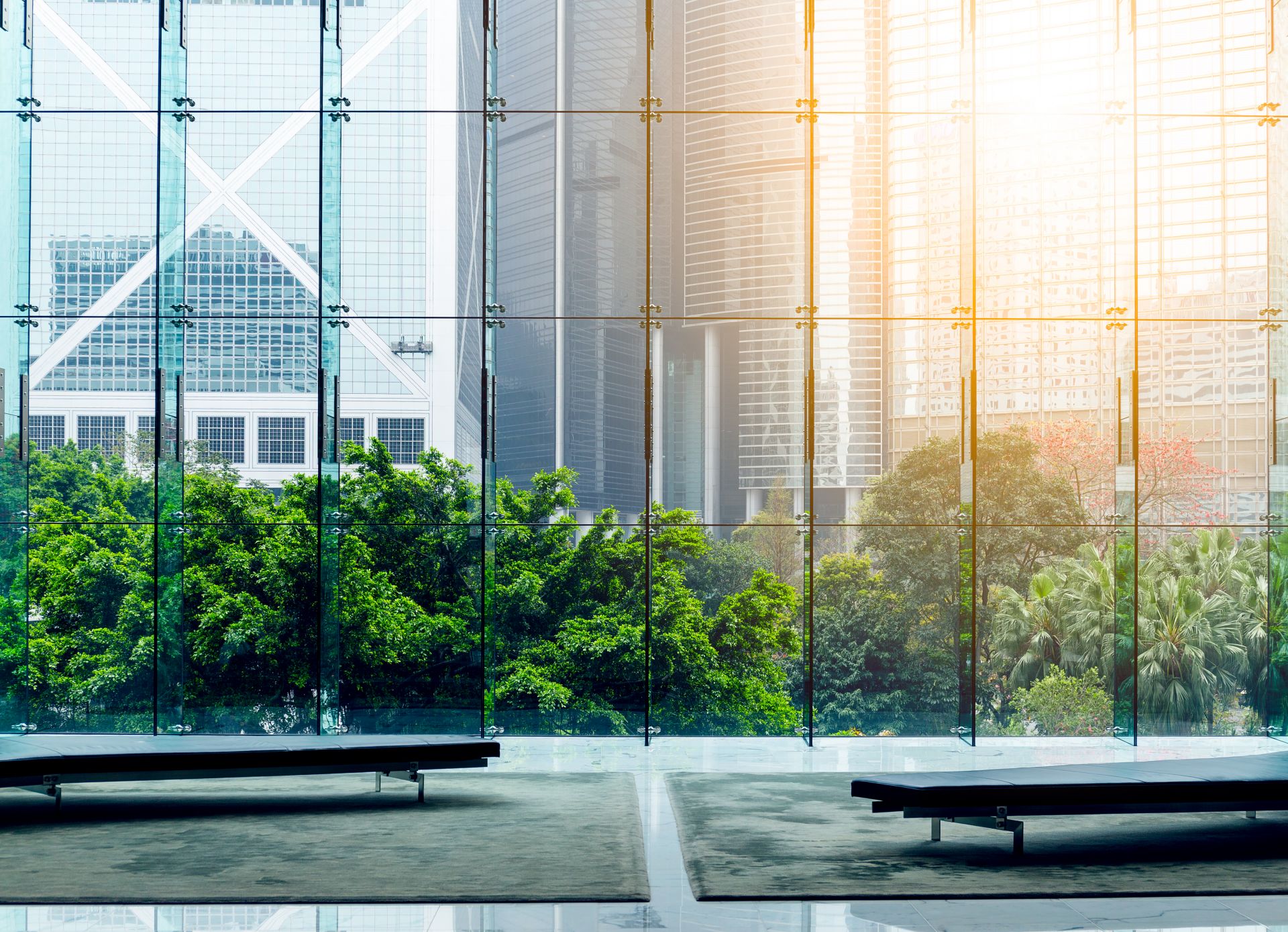 香港高才通計劃門檻或再放寬？無需全球百強大學畢業(yè)也能申請？