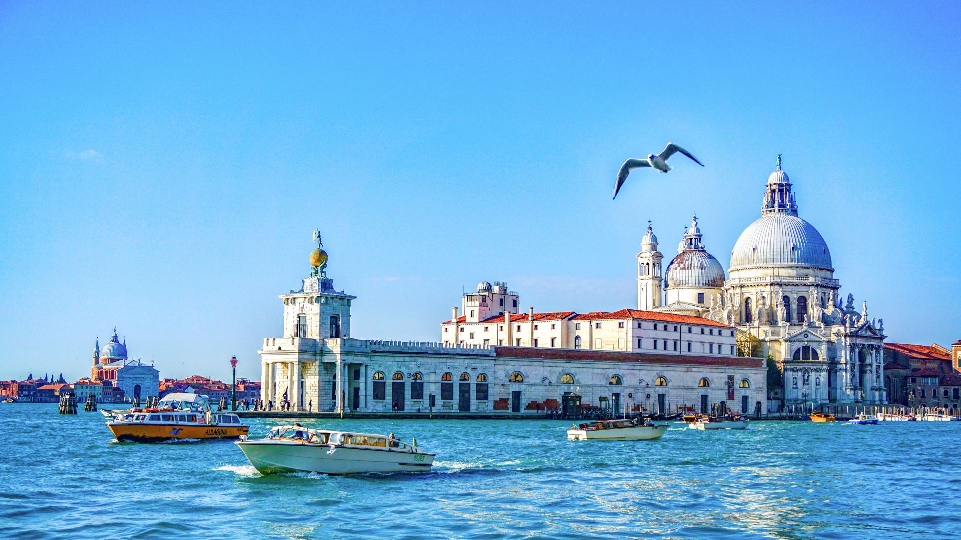 歐洲移民丨中國是世界第三大移民輸出國？為什么現(xiàn)在規(guī)劃移民的人那么多？