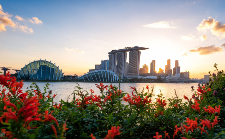 與中國互免簽證后，新加坡EP身份成了“雞肋”？